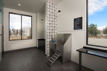 Pet Spa For Your Furry Friend at Cycle Apartments, Ft. Collins